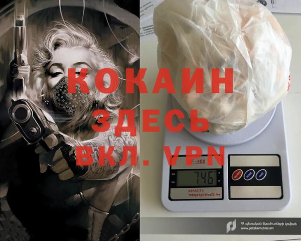 спайс Алзамай
