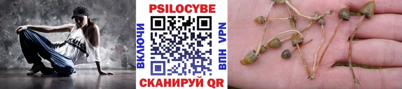 Галлюциногенные грибы Psilocybine cubensis  Ноябрьск 